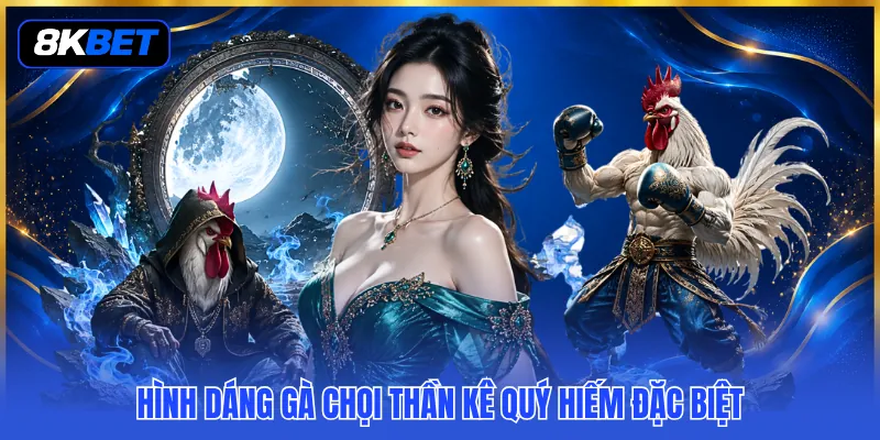 Gà Chọi Thần Kê Quý Hiếm 2026 - Cẩm Nang Săn Lùng Thần Kê 2 Hình dáng gà chọi thần kê quý hiếm đặc biệt