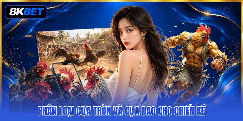 Đá Gà Cựa Sắt Là Gì? Tìm Hiểu Sự Khác Biệt Dành Cho Kê Thủ 3 Phân loại cựa tròn và cựa dao cho chiến kê